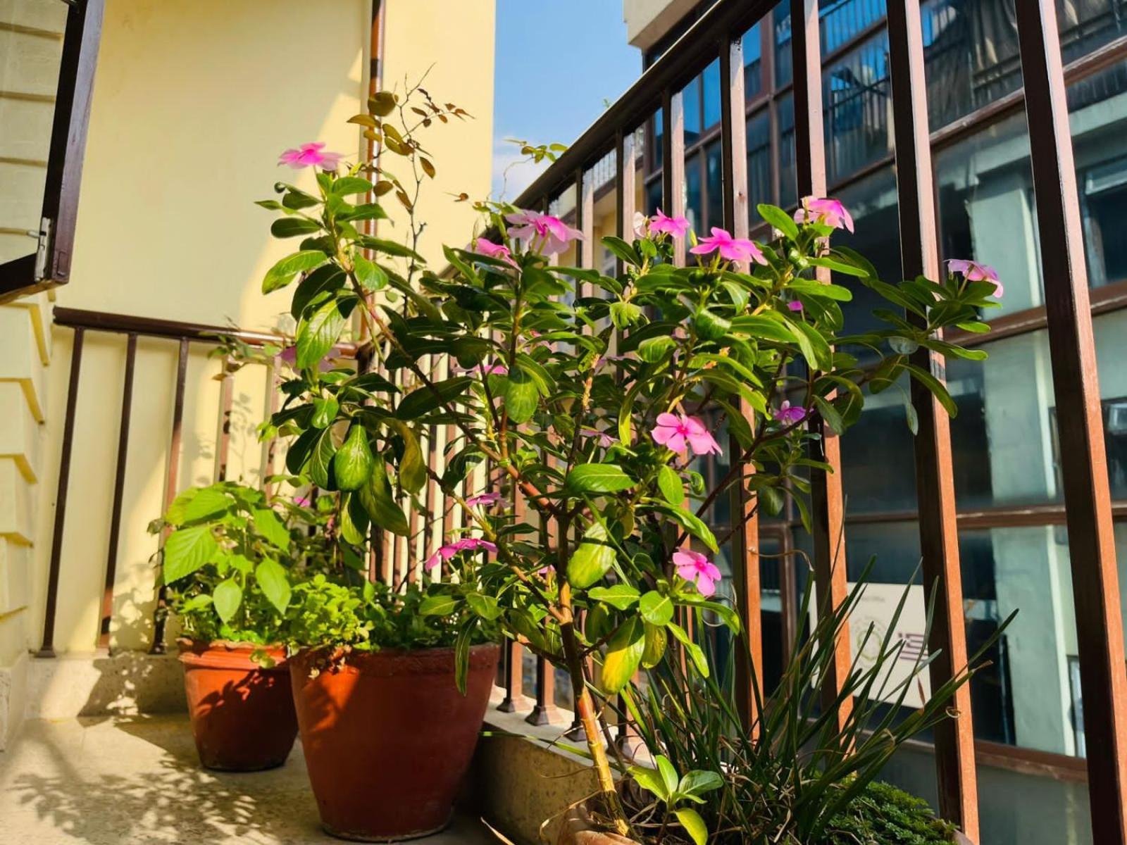 Holy Land Hotel Nepal Kathmandu Luaran gambar